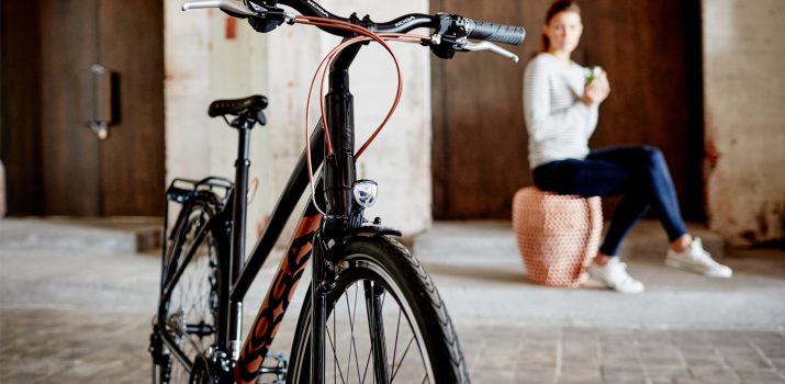 Focus sur la prestigieuse marque Koga